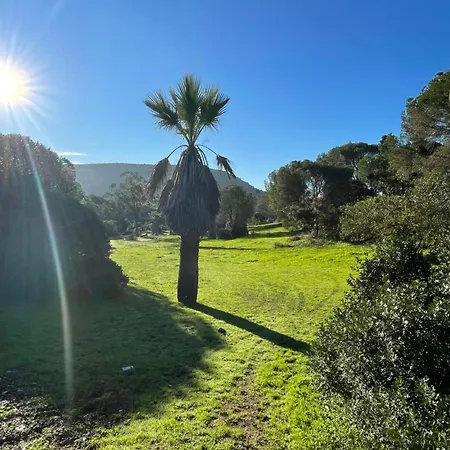 Quinta Do Vale Sunrise Garden * Сан-Бартоломеу-де-Мессинеш