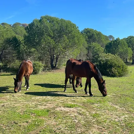 Quinta Do Vale Sunrise Garden