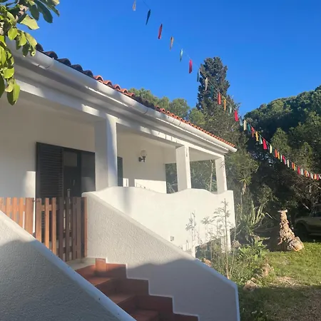 Quinta Do Vale Sunrise Garden Daire